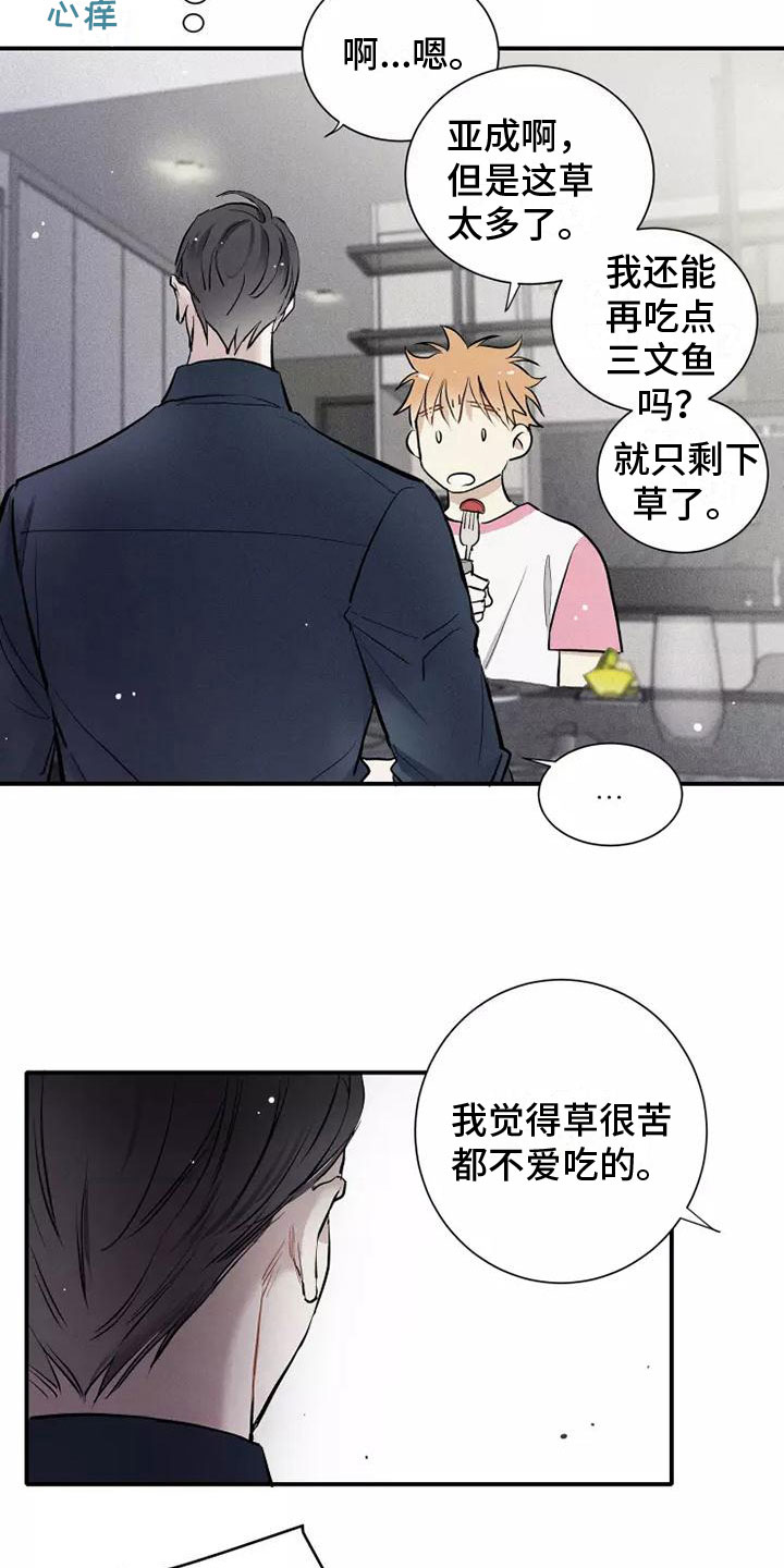 念念不忘再遇见漫画,第15章：习惯1图