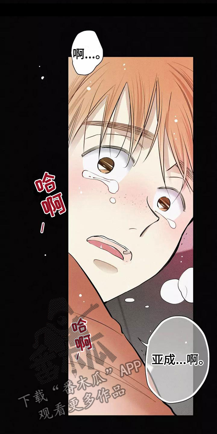 念念不忘小说阅读漫画,第19章：不知所措1图