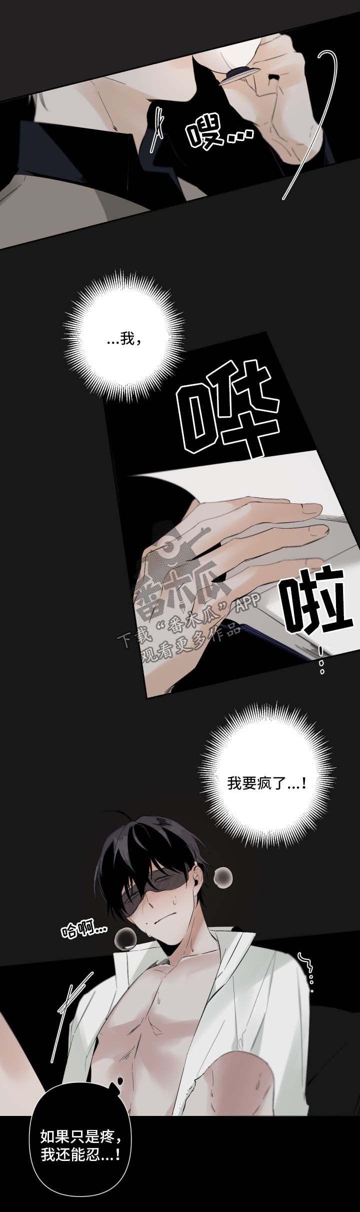 从属句柄漫画,第63章：我是你最重要的人1图