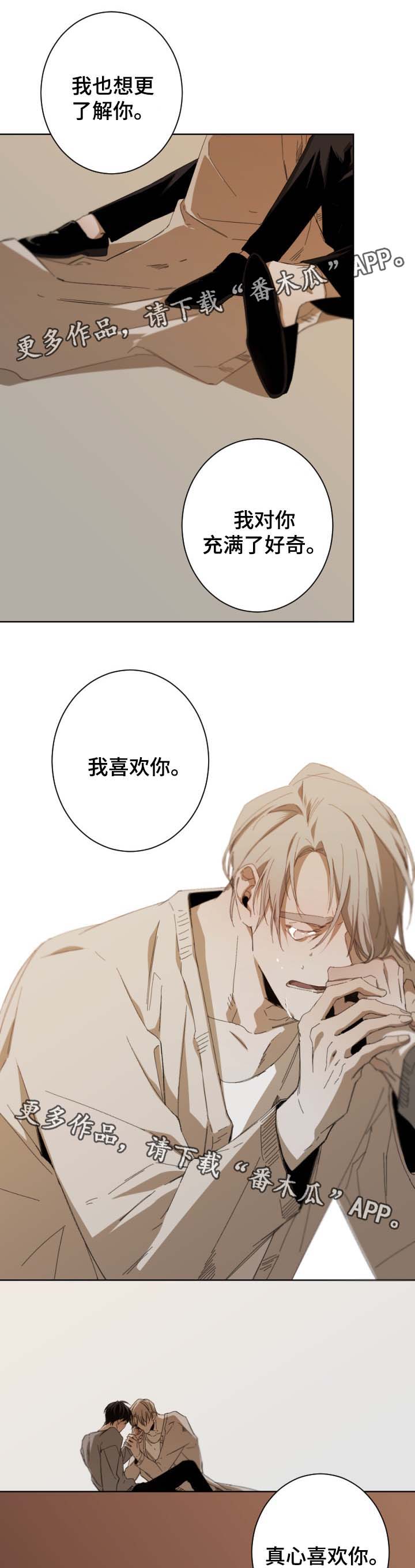从属连词和连接代词的区别漫画,第47章：为什么会在这1图