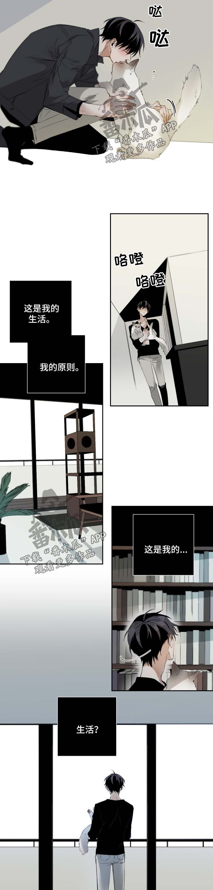 从属连词和连接代词的区别漫画,第76章：心痒难耐1图