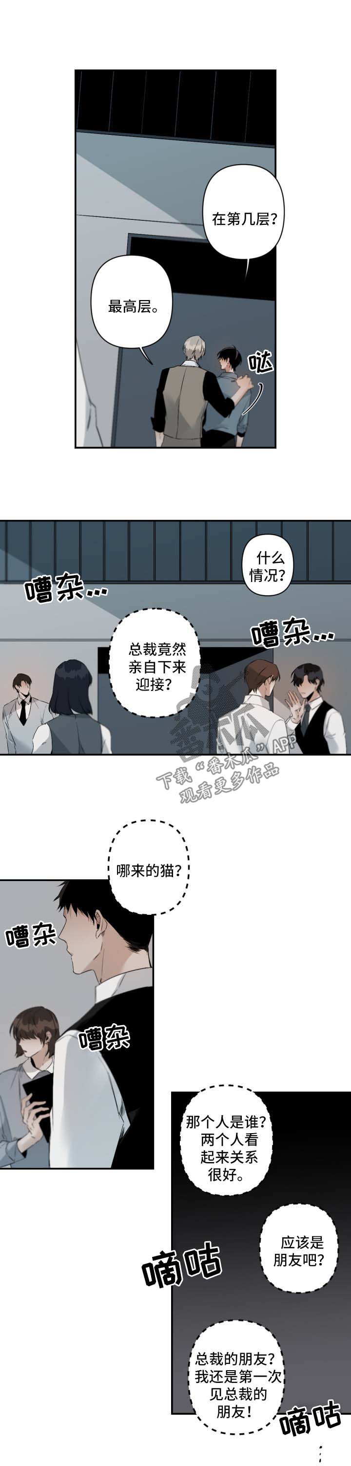 从属保函是什么意思漫画,第91章：来公司2图