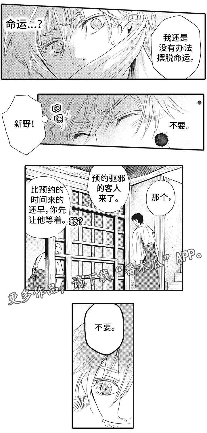 厄运巫师漫画,第18章：不要2图
