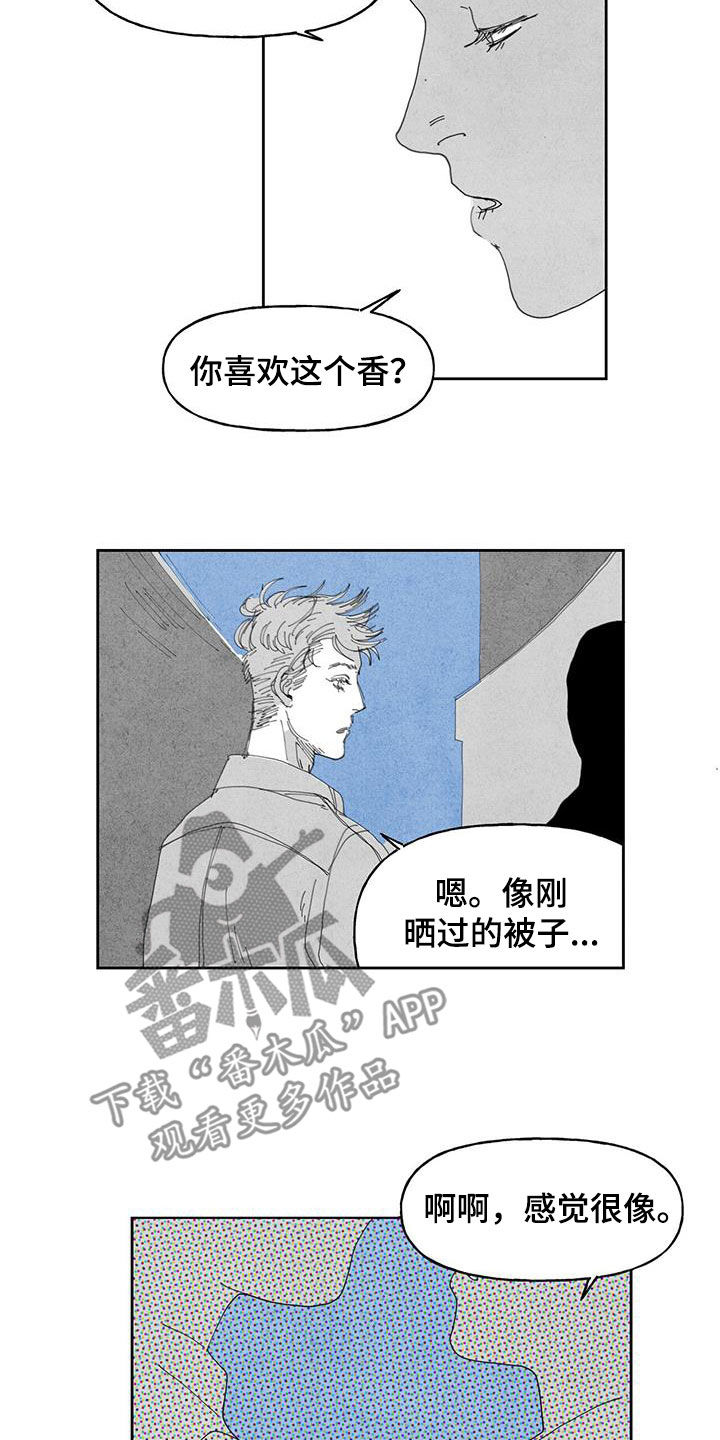 黄色天牛虫图片漫画,第15章：监视2图