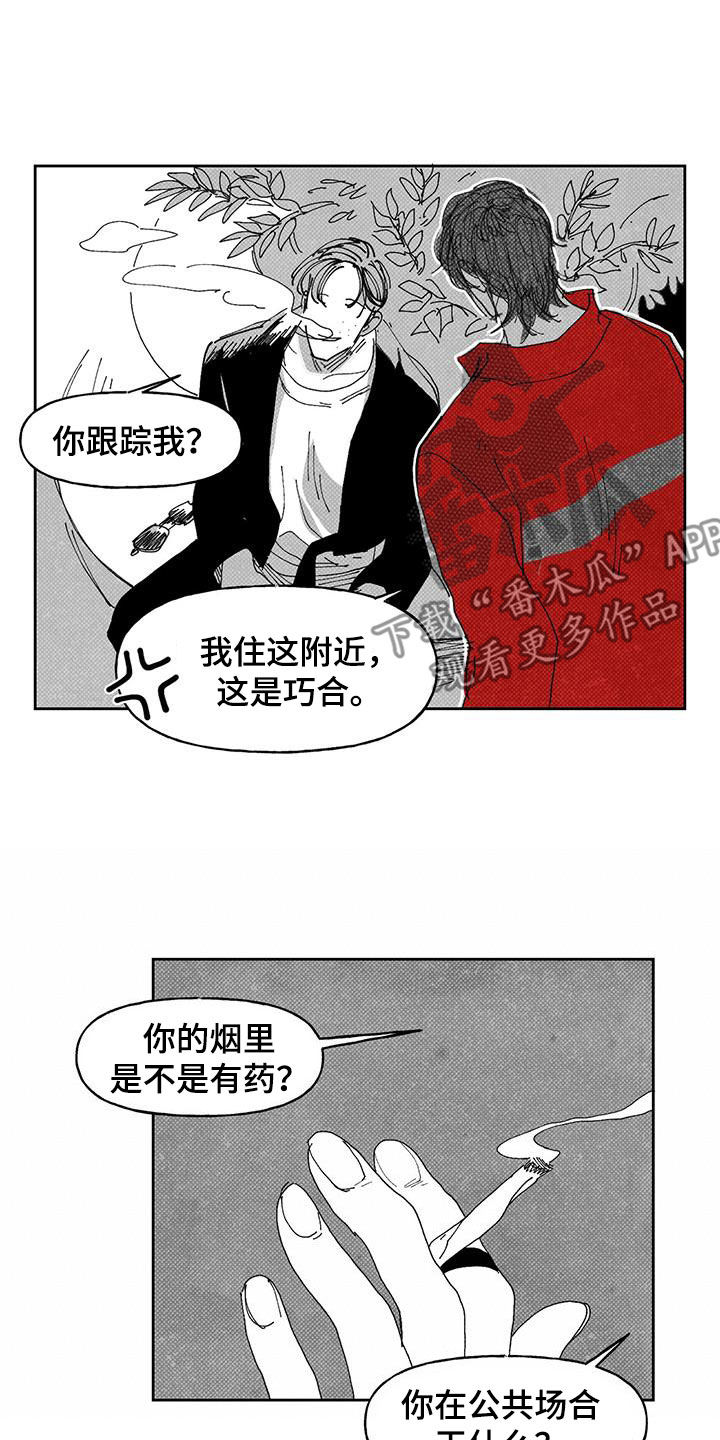 黄色天子硬盒价格漫画,第19章：别越界2图