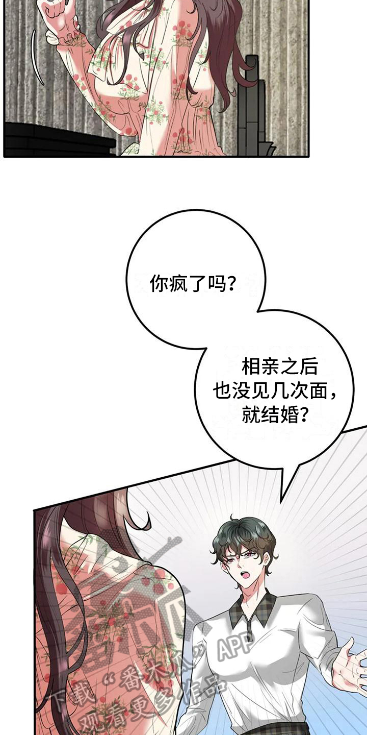 婚姻合作共赢的经典语录朋友圈漫画,第12章：劝说2图