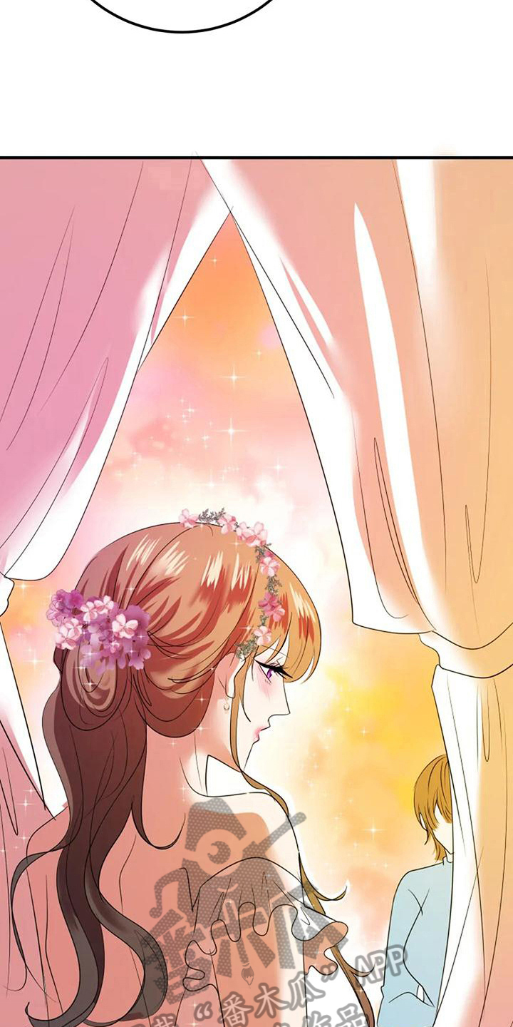 婚姻合作关系漫画,第29章：婚礼策划2图