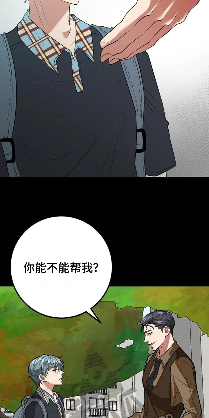 婚姻合配紫微房女命漫画,第31章：收养2图