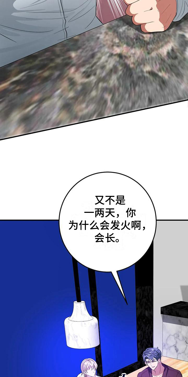 婚姻合作伙伴漫画,第6章：决定1图