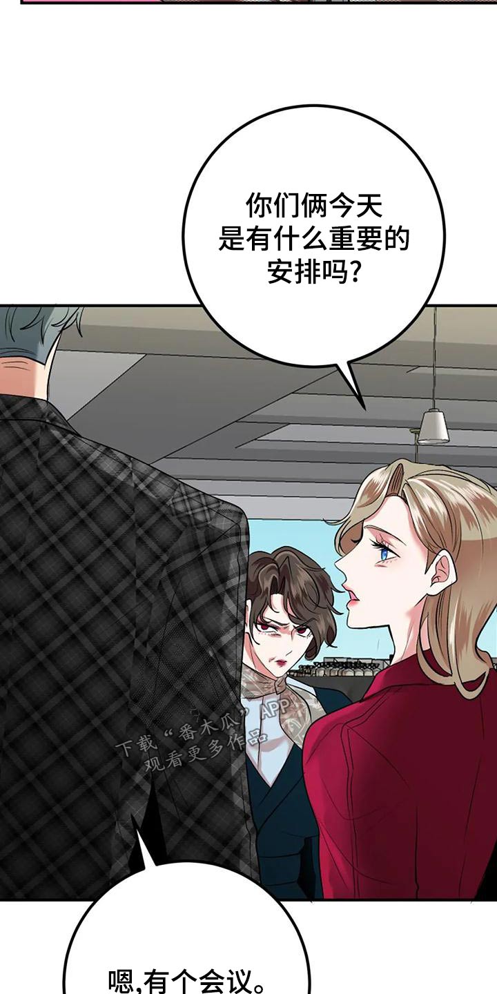 婚姻合作共赢漫画,第46章：安排2图