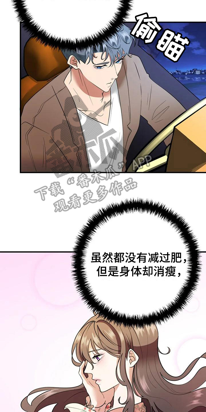 婚姻合作小说漫画,第19章：提议2图