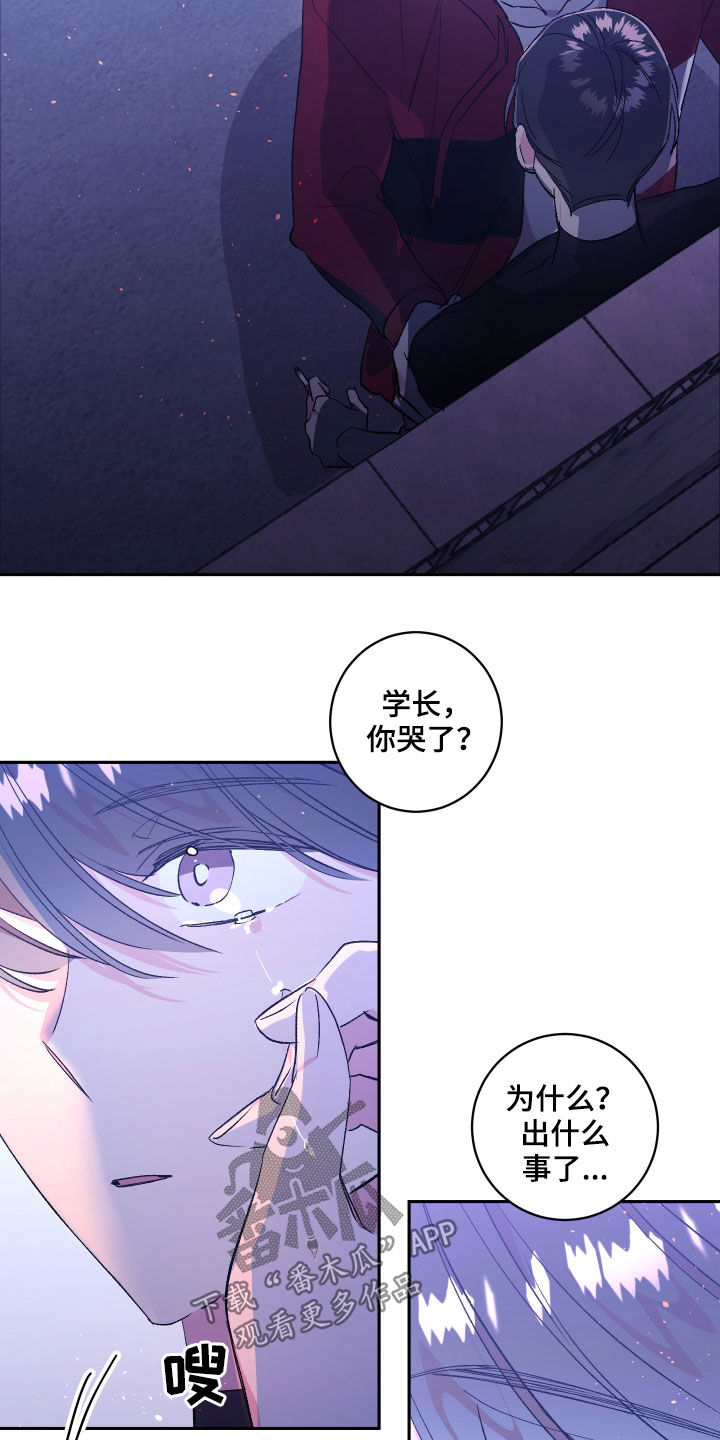 隐秘之城电影在线播放漫画,第59章：【番外】墓园2图