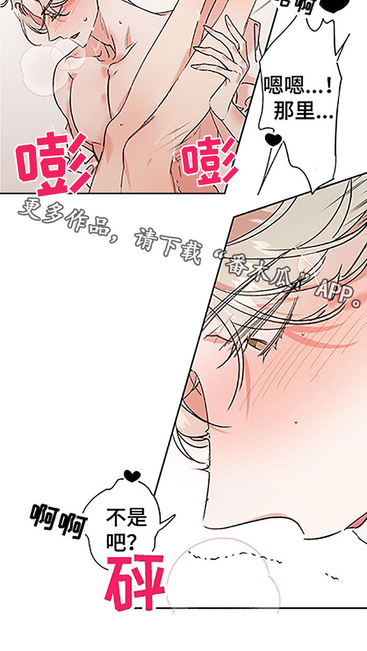 隐秘之城电影在线播放漫画,第53章：【番外】不是吧1图