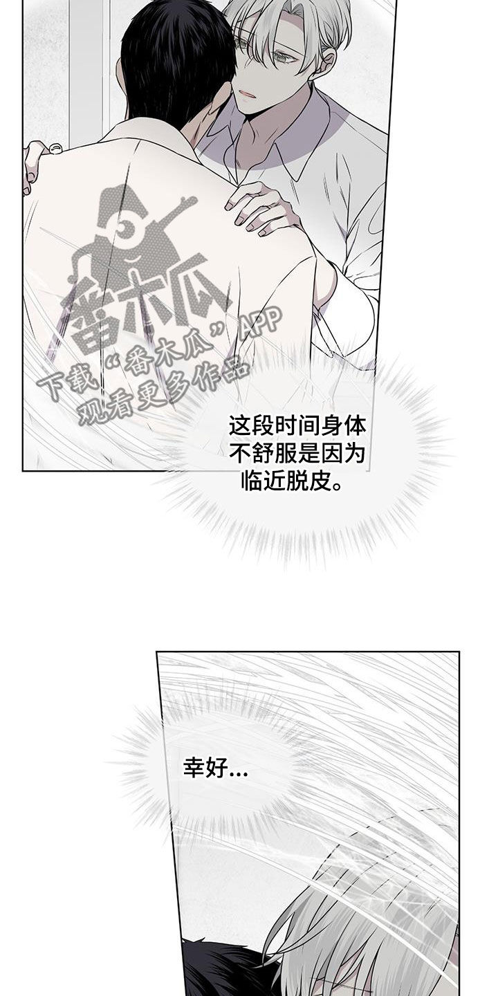 森海之恋漫画,第80章：【第二季】脱皮1图