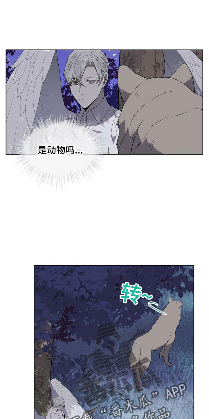 森海之恋漫画,第36章：很想念2图