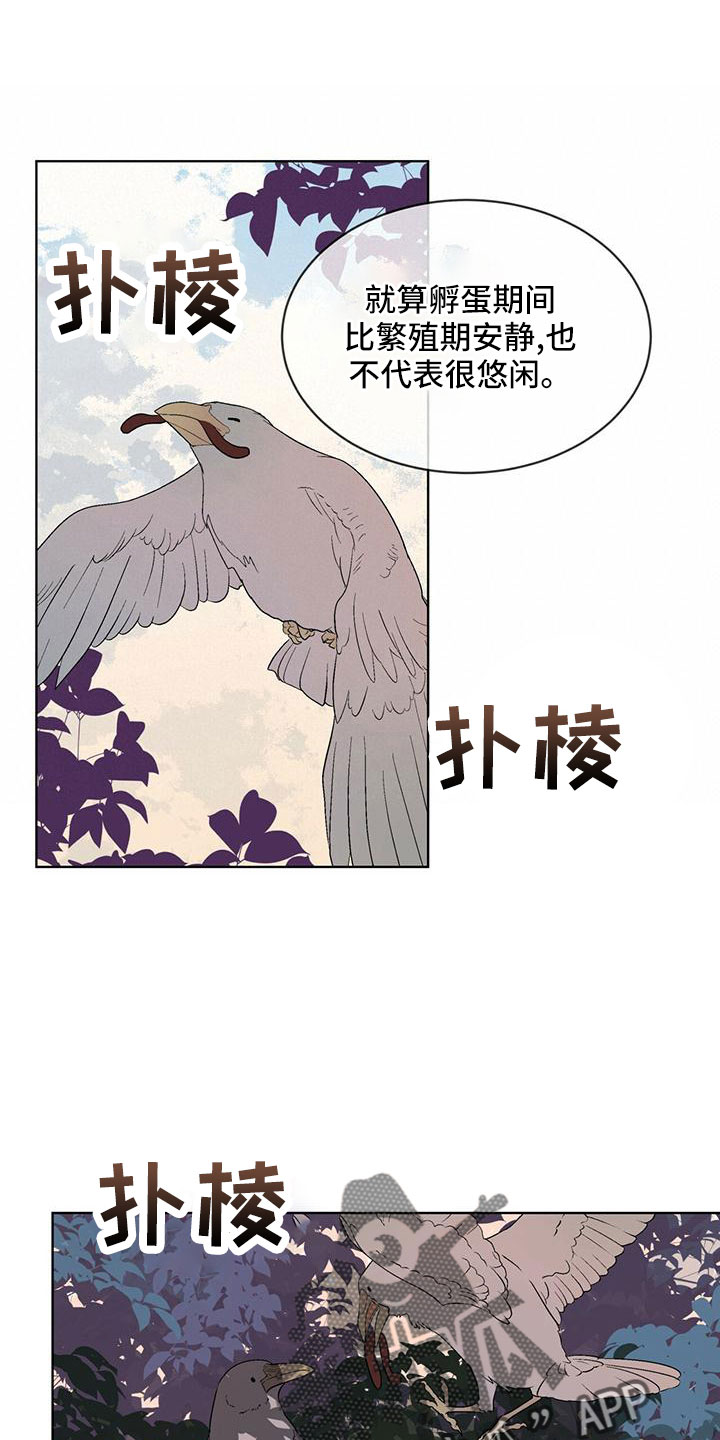 森海之恋漫画,第39章：夜曲1图