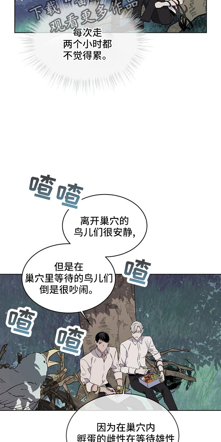 森海之恋漫画,第39章：夜曲1图