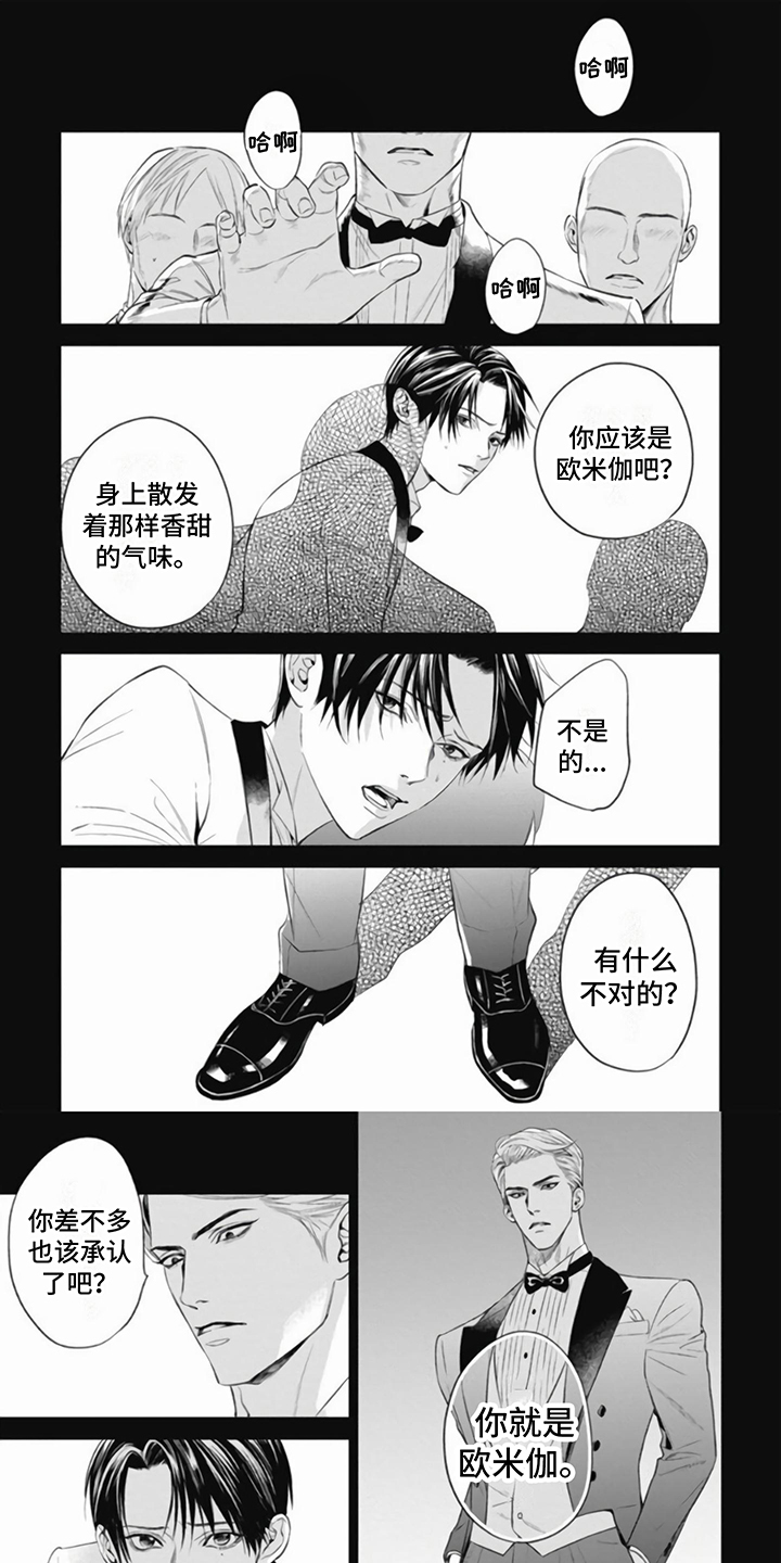 阿尔法的花嫁漫画,第3章：朋友1图