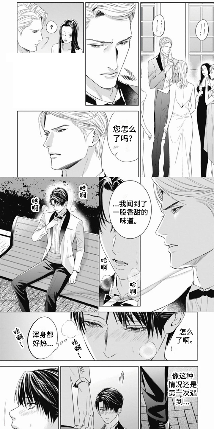 阿黛尔的花嫁在哪看漫画,第2章：阻止1图