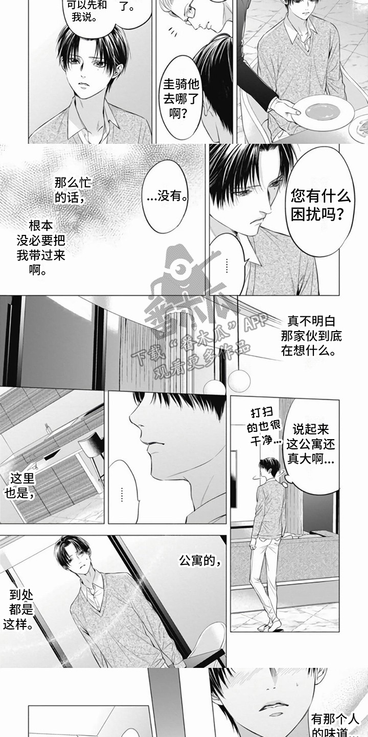 阿黛尔的花嫁在哪看漫画,第10章：担忧2图