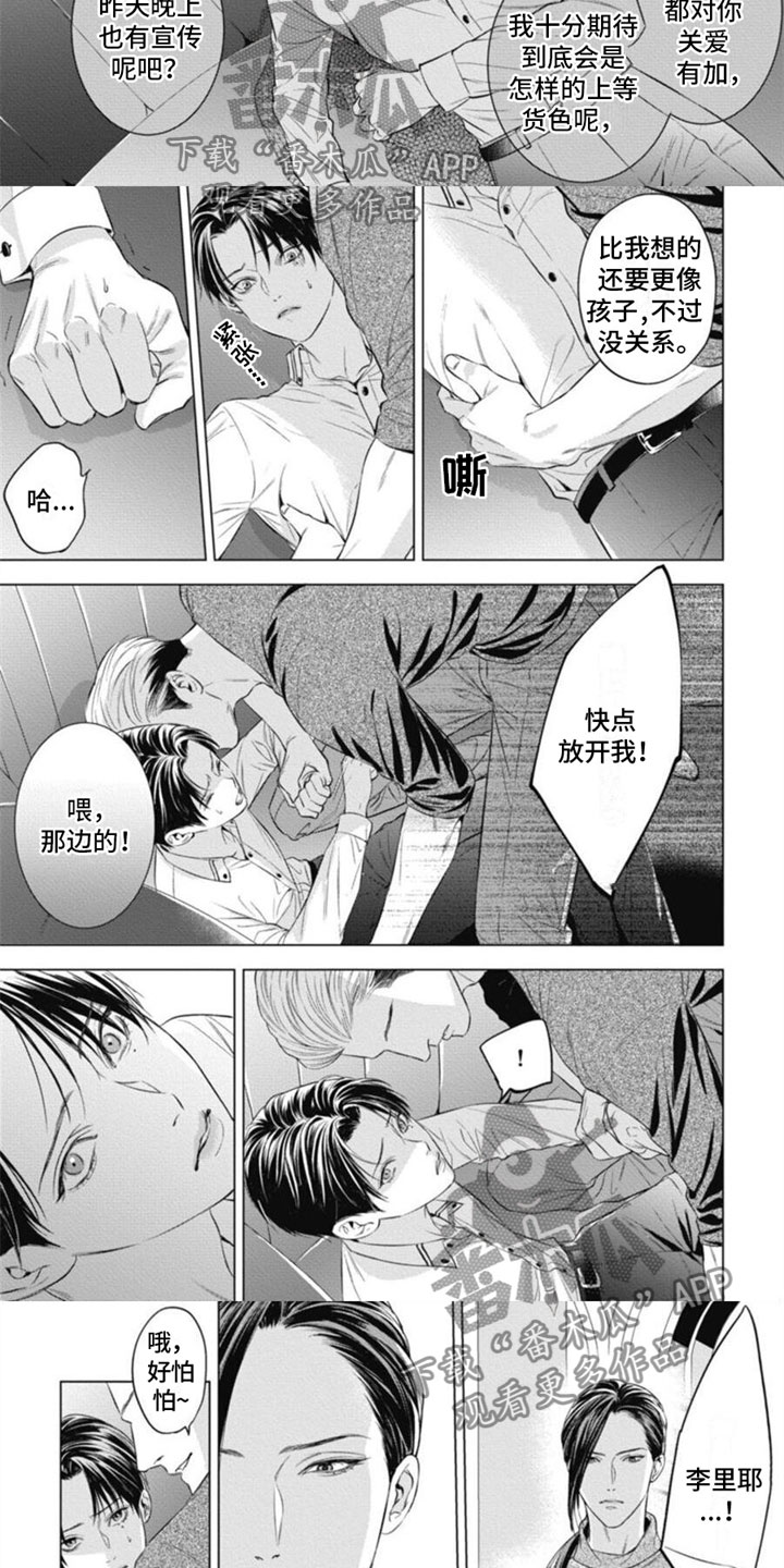 阿黛尔的花嫁在哪看漫画,第29章：被袭击2图