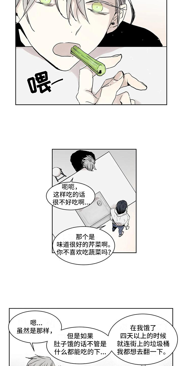 如何吃桃子漫画,第3章：做饭1图
