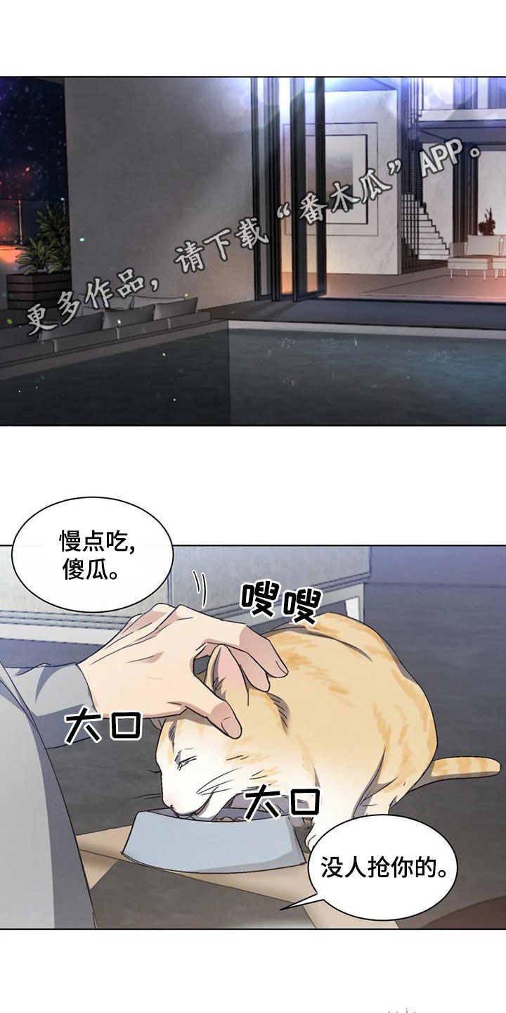 危险重重的藏宝图1漫画,第53章：【第二季】分析1图