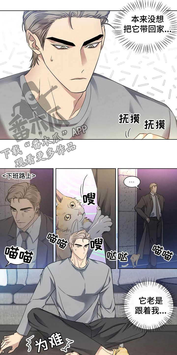 危险重重的藏宝图1漫画,第53章：【第二季】分析2图