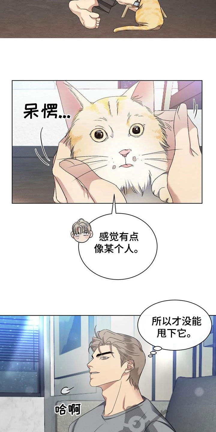危险重重的藏宝图1漫画,第53章：【第二季】分析1图