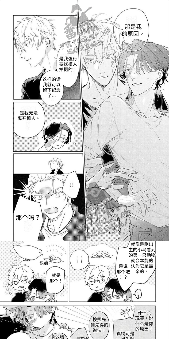 基督教爱的光彩漫画,第16章：理解1图