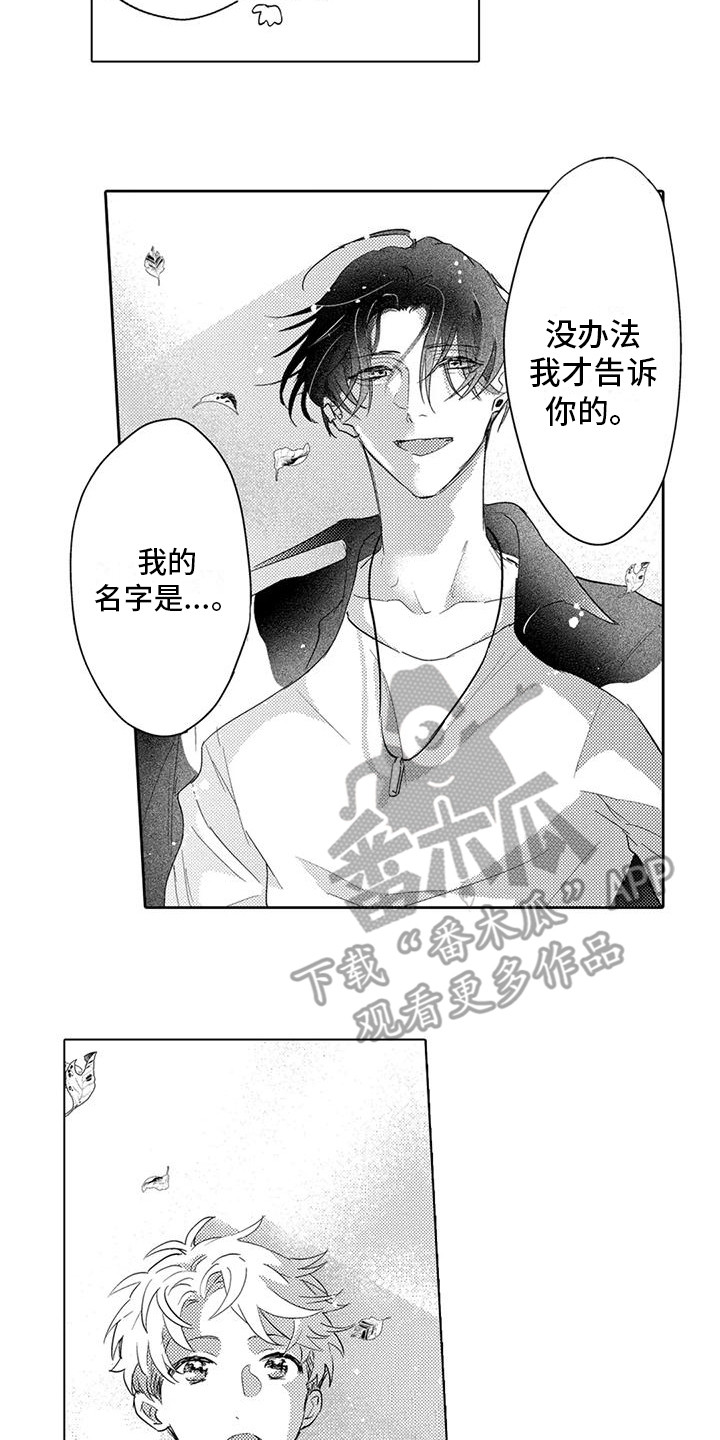 问题事务所漫画,第11章：另眼相待2图