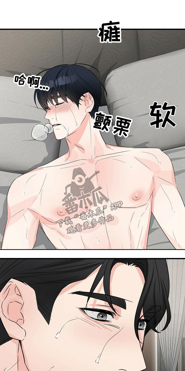 无味轨迹 总裁 恋爱 作者介绍漫画,第58章：检查1图