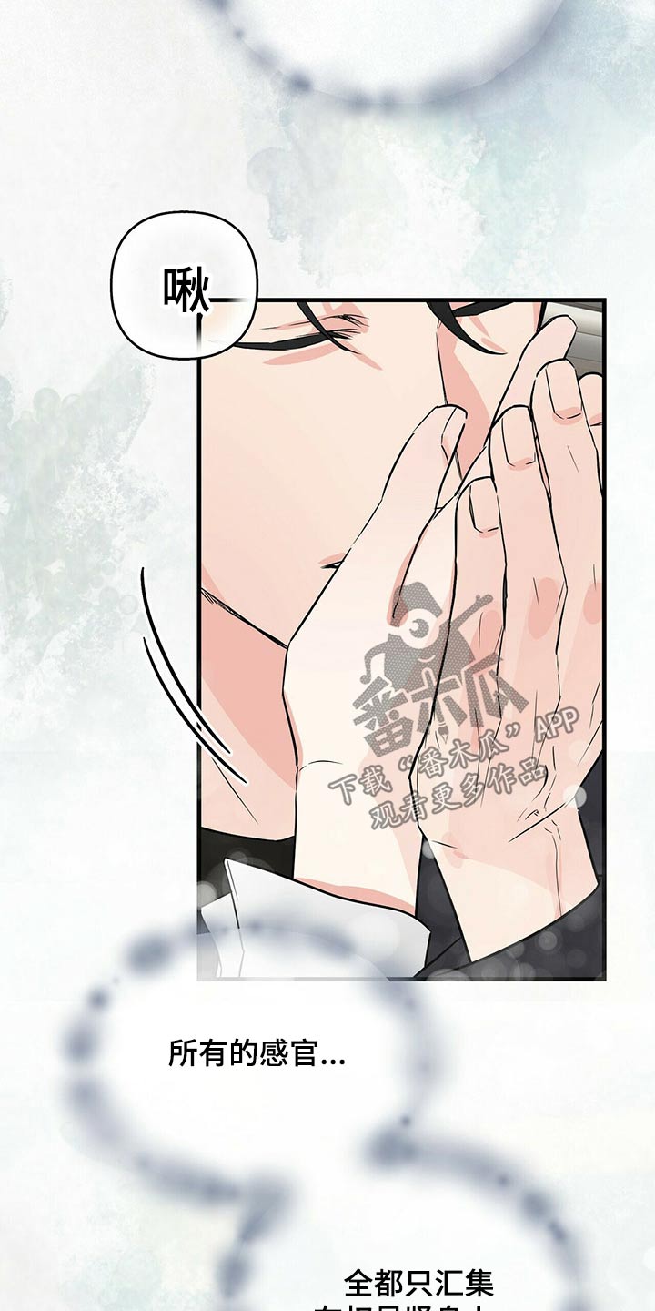 无味轨迹 总裁 恋爱 作者介绍漫画,第56章：感官1图