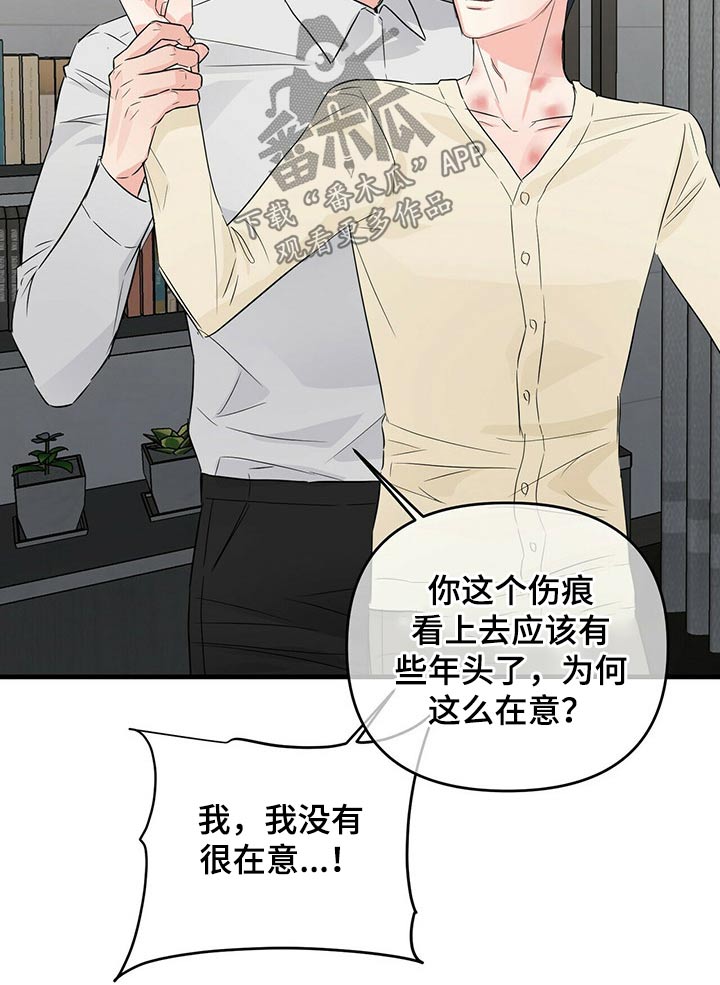 无味轨迹 总裁 恋爱 作者介绍漫画,第61章：标记2图