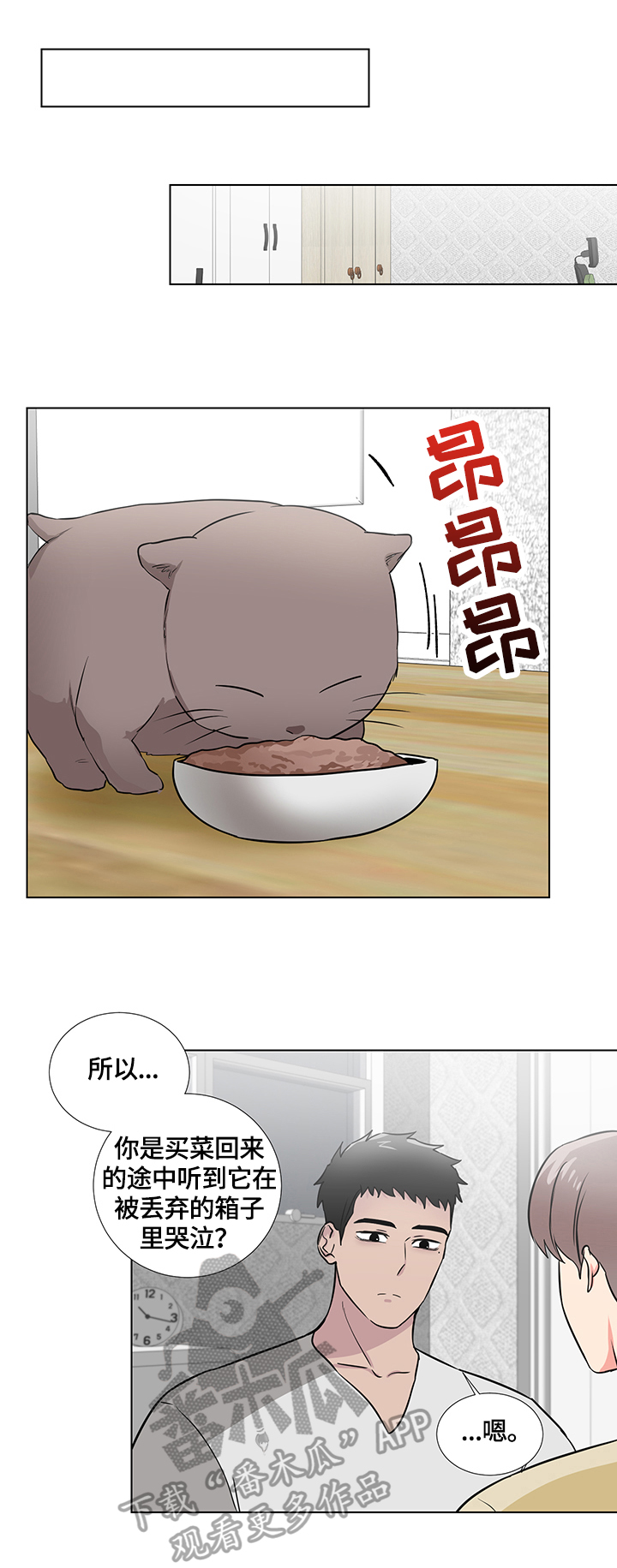 反向驯养什么意思漫画,第64章：捡回一只猫1图