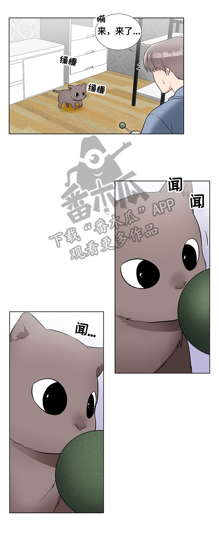 反向饲养法则漫画,第66章：猫薄荷2图