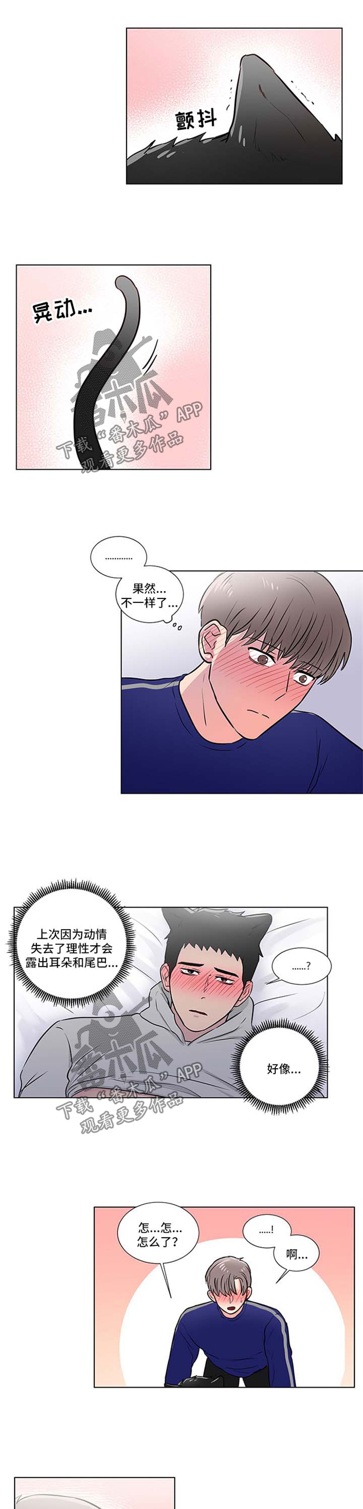 反向扫码什么意思漫画,第44章：可爱1图