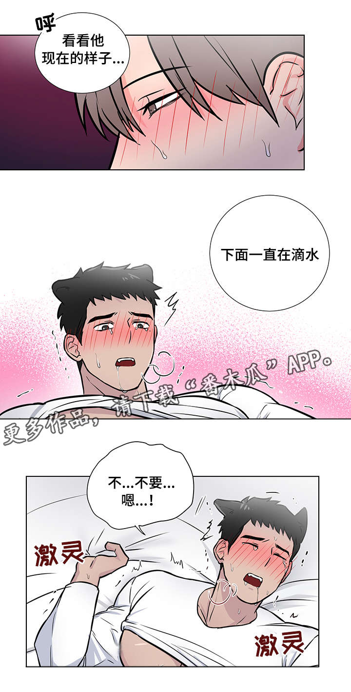 反向饲养漫画,第14章：退烧2图