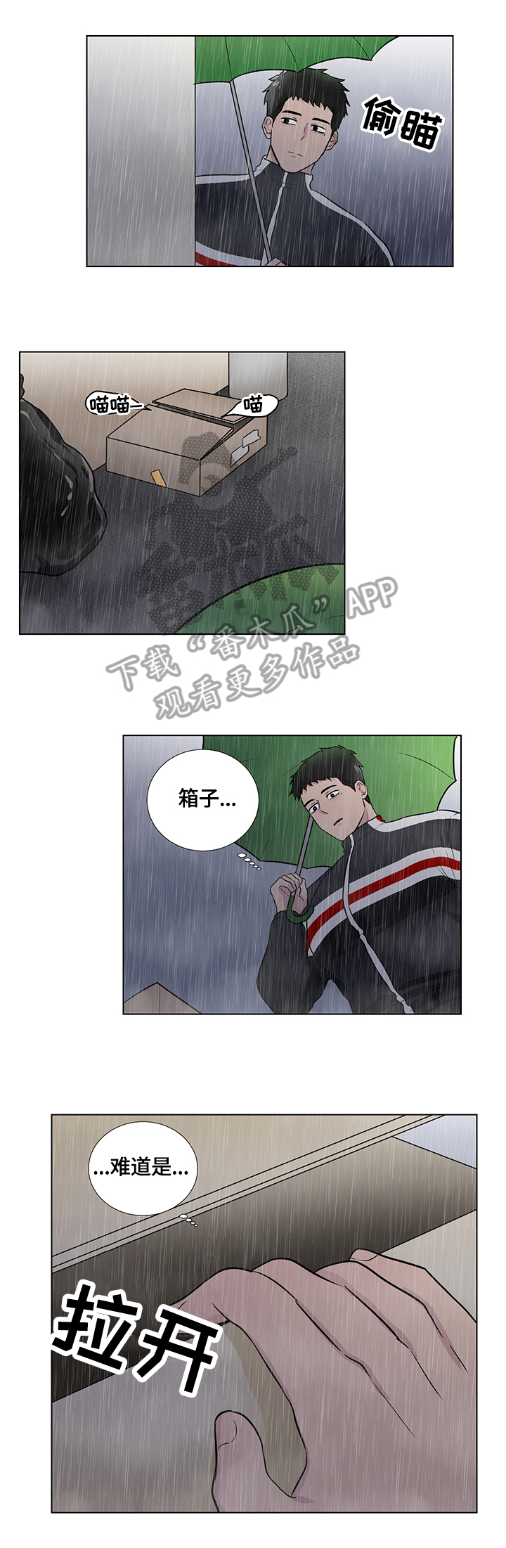 反向驯养什么意思漫画,第64章：捡回一只猫1图