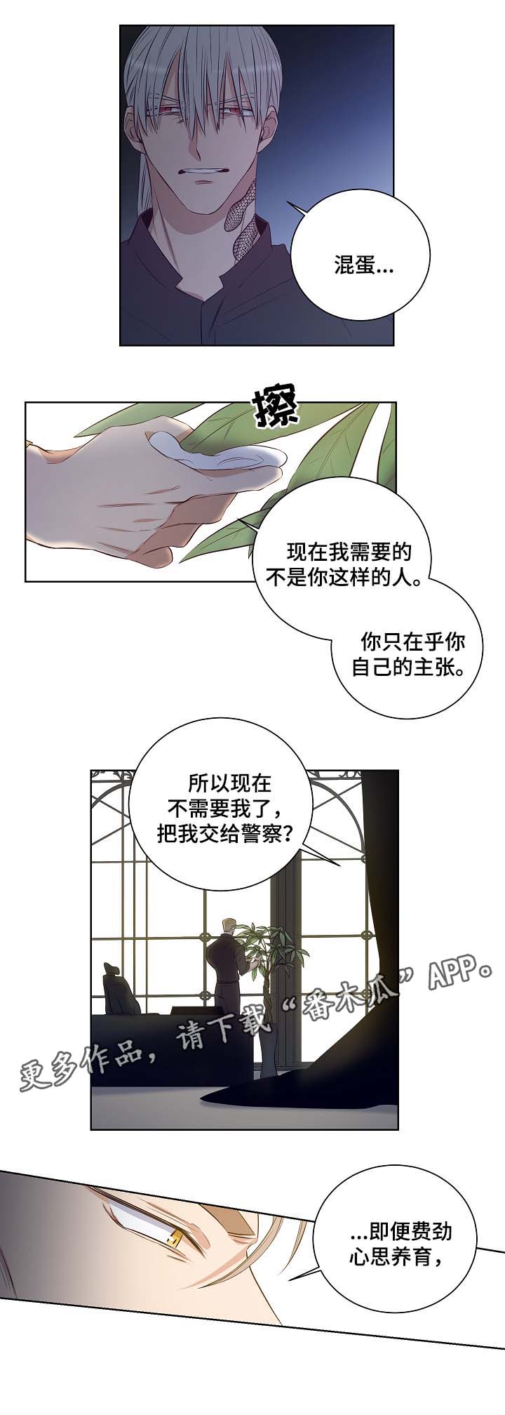 连环拳教学漫画,第48章：舍小求大2图