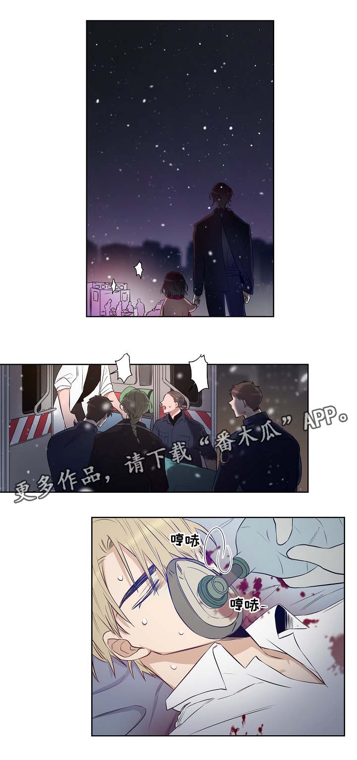 连环圈套在线免费观看漫画,第50章：尘埃落定2图