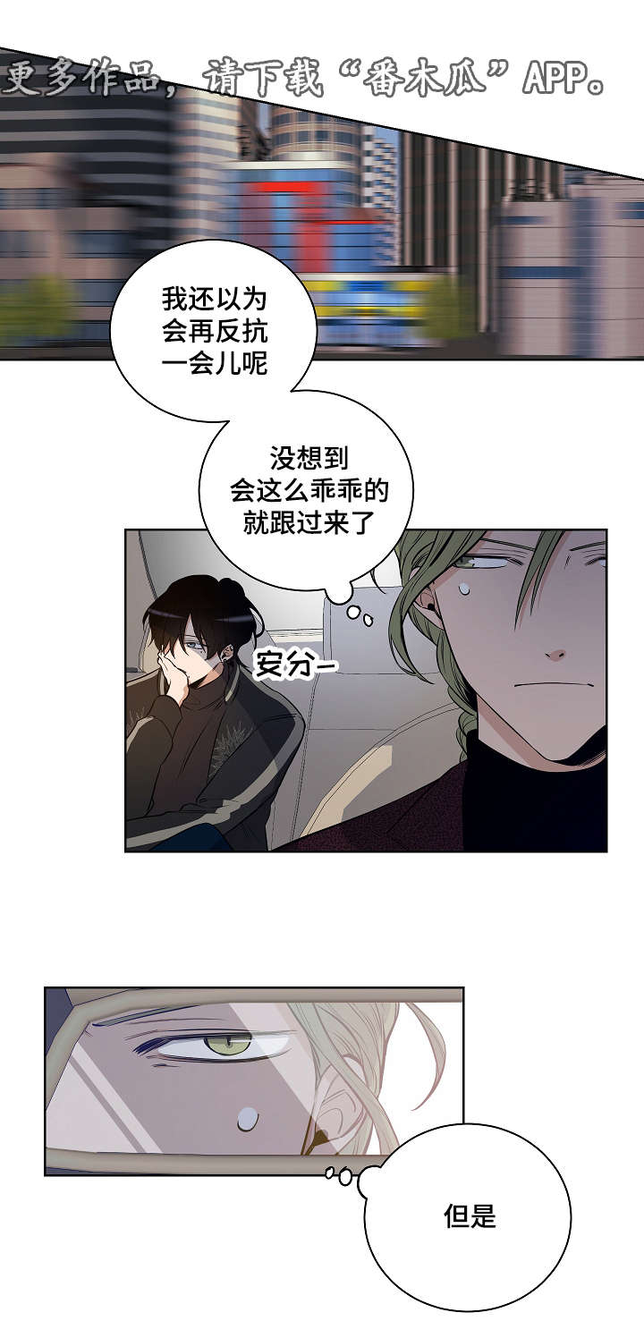 连环套的玩法介绍漫画,第16章：耀眼的我1图