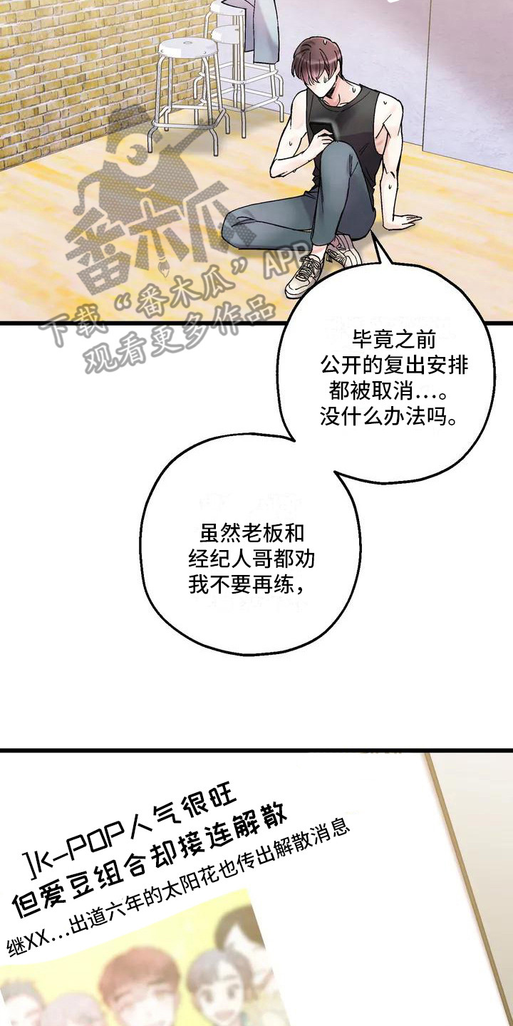 太阳花能活几年漫画,第4章：黑粉2图