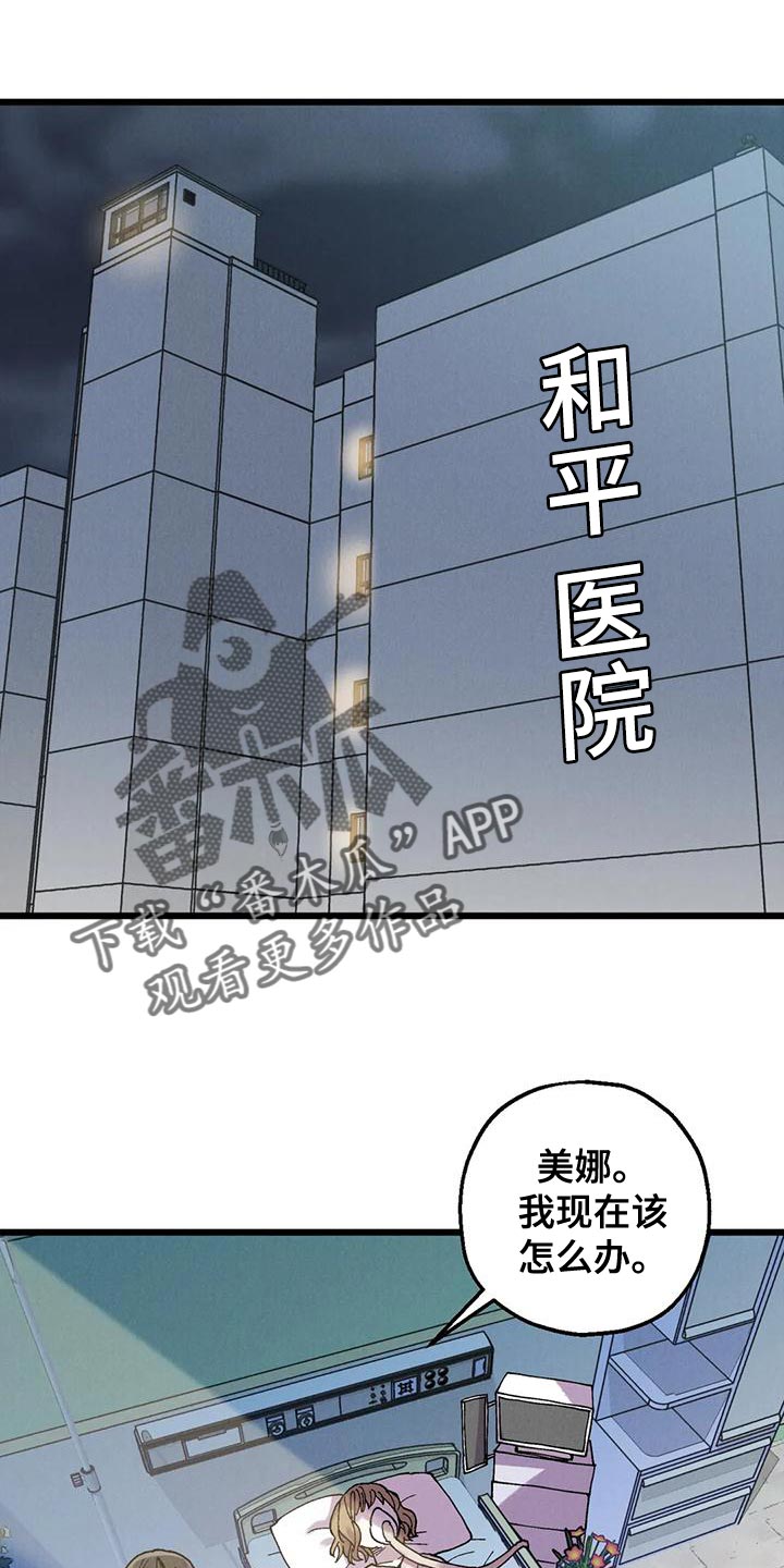 太阳花什么时候播种最好漫画,第31章：我们喝酒吧1图