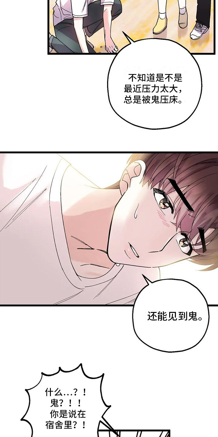 太阳花生长过程图片漫画,第6章：鬼魂2图