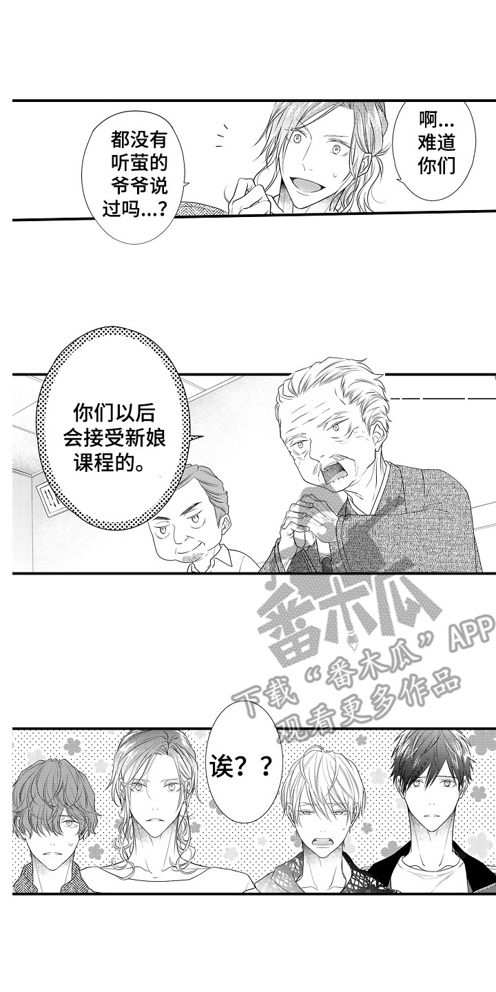 新娘印记漫画在线观看漫画,第4章：新娘候选人1图