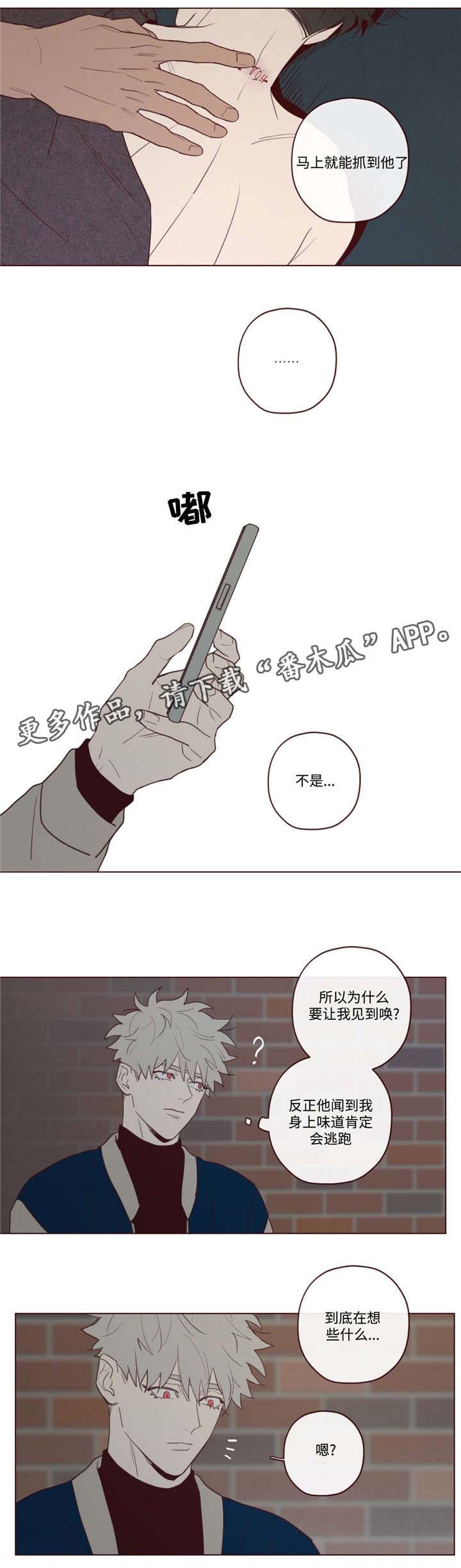 山鬼效灵漫画,第30章：醉1图