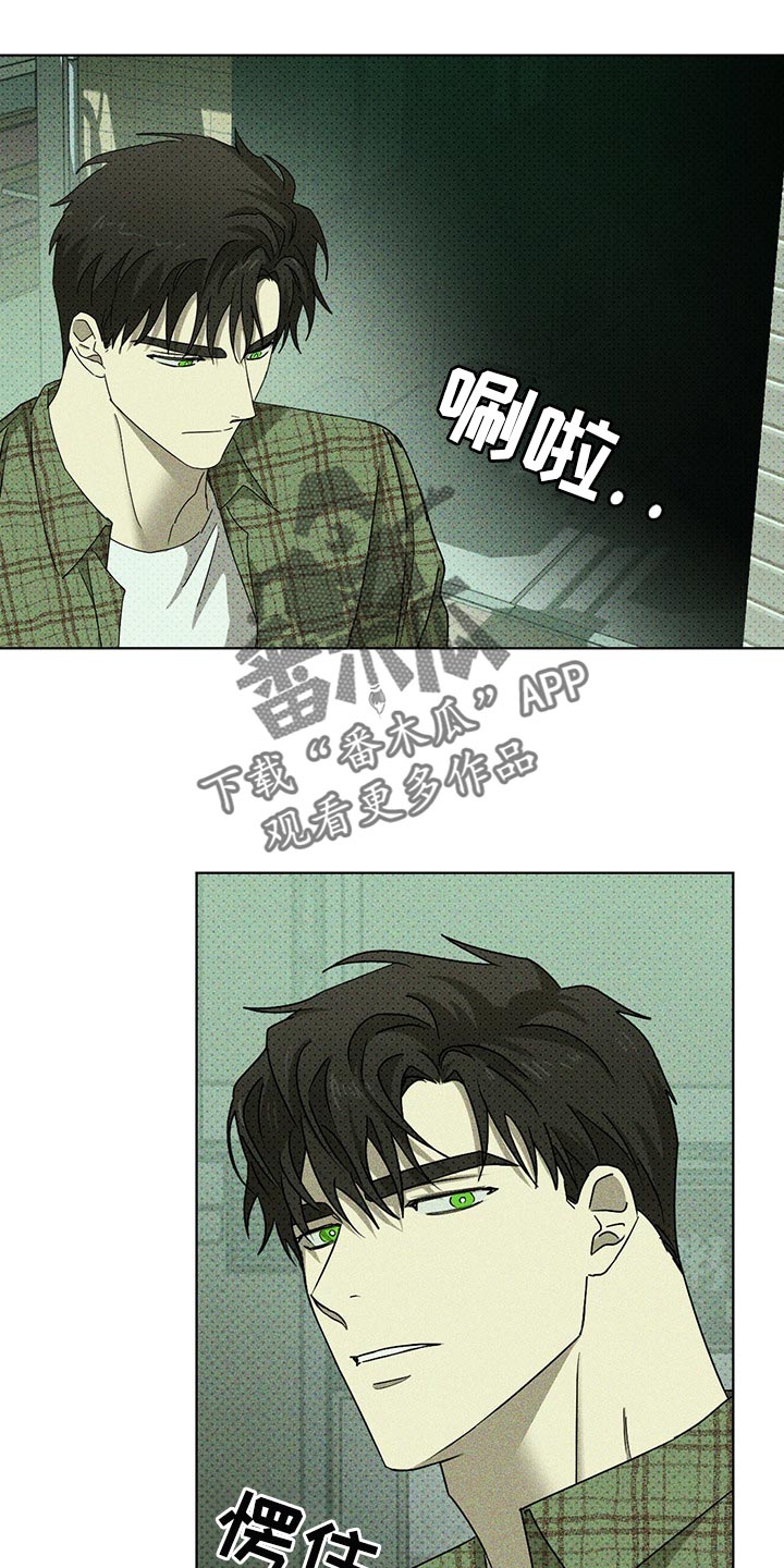 绿色纹理感衬衫大码漫画,第68章：你什么都知道1图