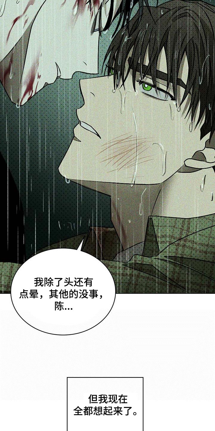 绿色纹理漫画在哪看漫画,第76章：绝对不会再放手【第一季完结】1图