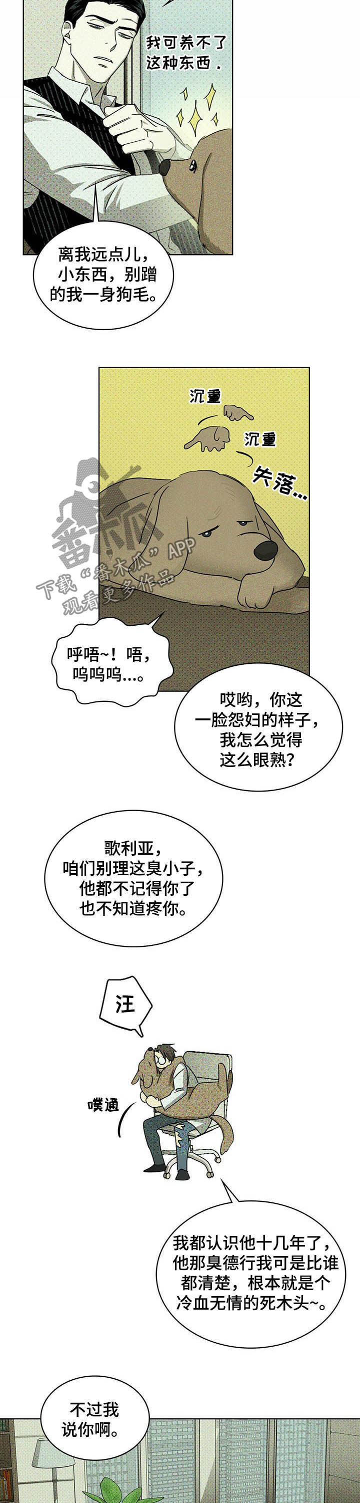 绿色纹理感衬衫大码漫画,第48章：治疗2图